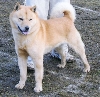Hokkaido