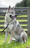 Shyva