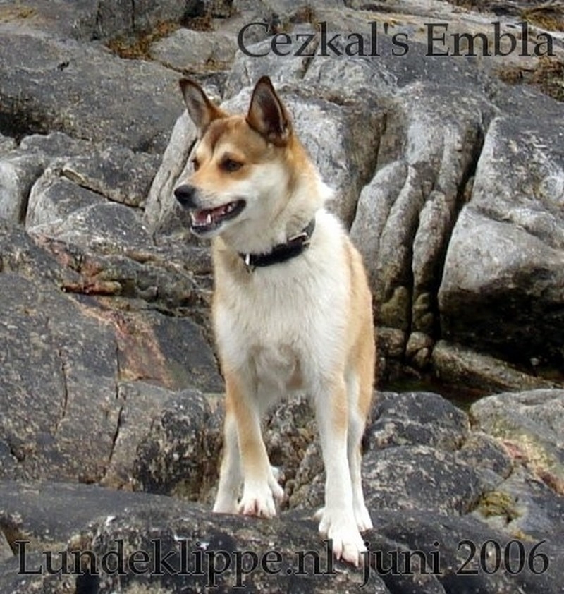 Kennel Lundeklippe Kennel Lundeklippe