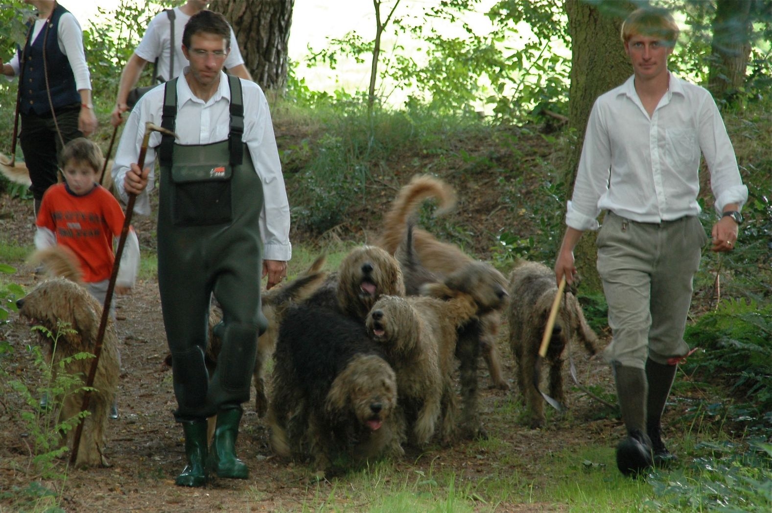 stichting Vrienden van de Otterhound