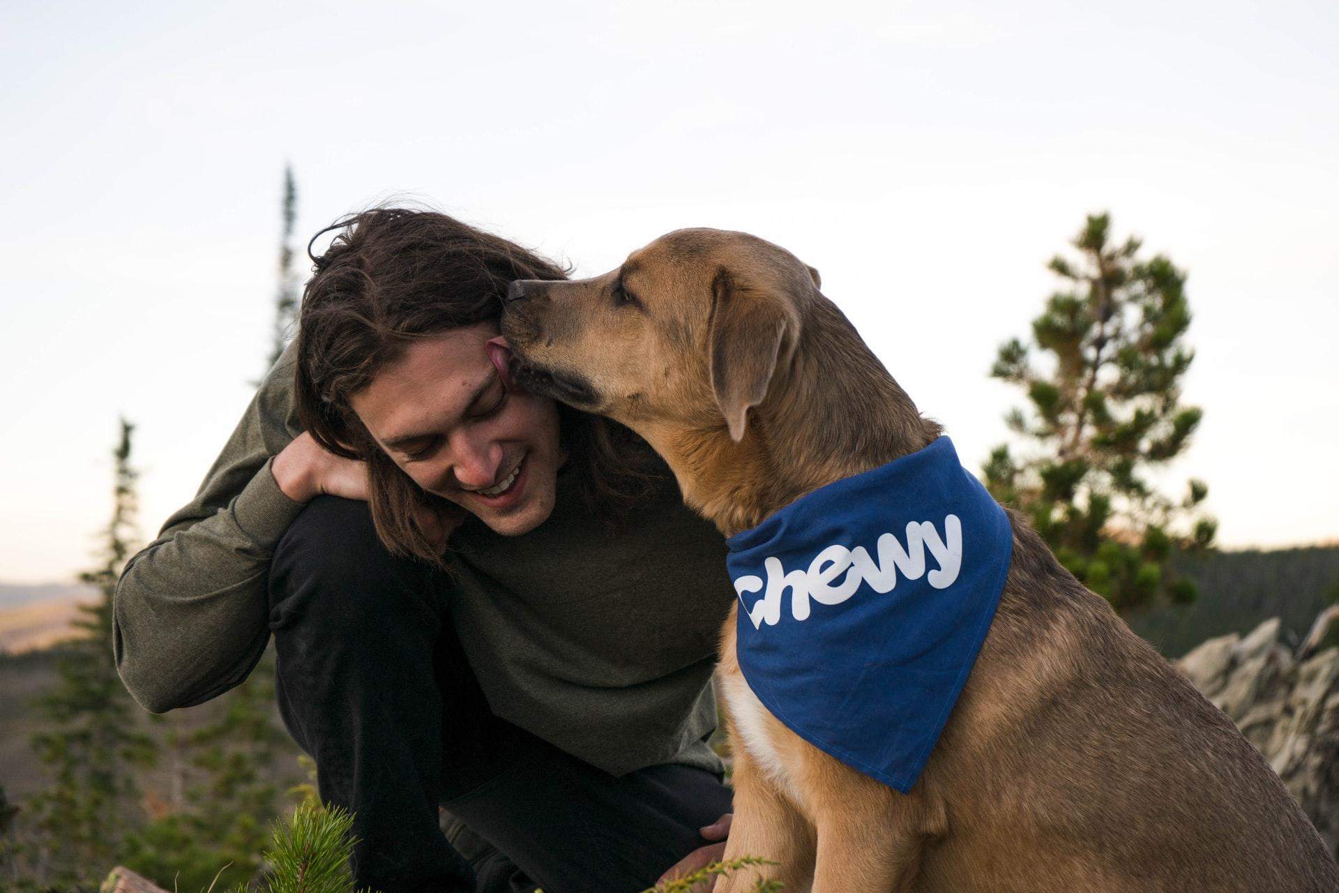 Afbeelding Hoe vaak moet je een hond uitlaten?