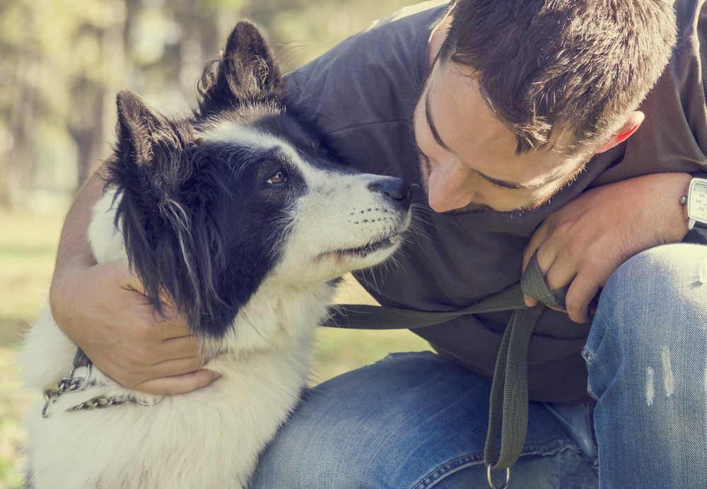 Afbeelding Band opbouwen met je hond