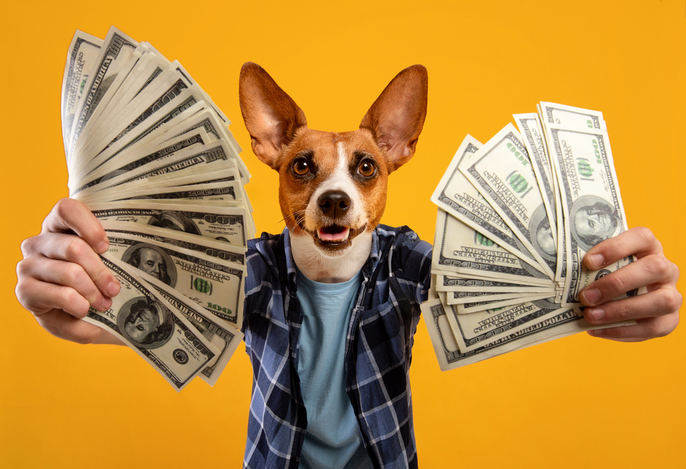 Afbeelding De leukste online gokkasten met honden als thema