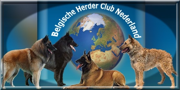Belgische Herder Club Nederland