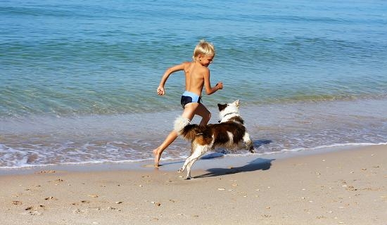 vakantie met de | Opvoeding en | Honden & Hondenrassen