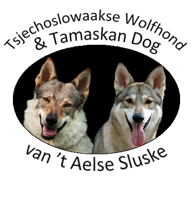 Tsjechoslowaakse Wolfhondenkennel van 't Aelse Sluske