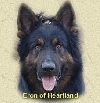 Eron of Heartland