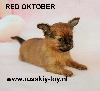 Red Oktober