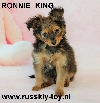 Ronnie King