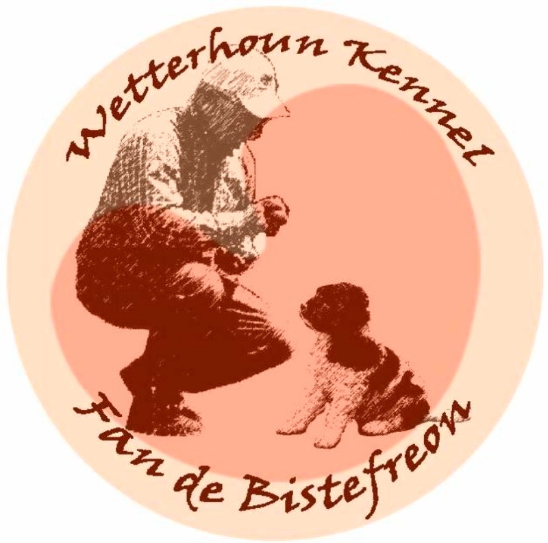 Kruijt